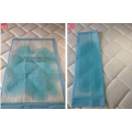 Blue chip 290mm sanitary pads